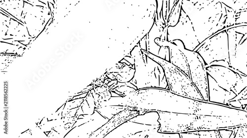 hand drawn vector illustration of an old tree 