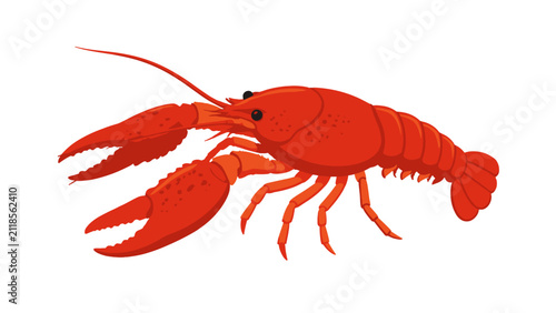 Fotografie Red lobster vector illustration isolated on white background