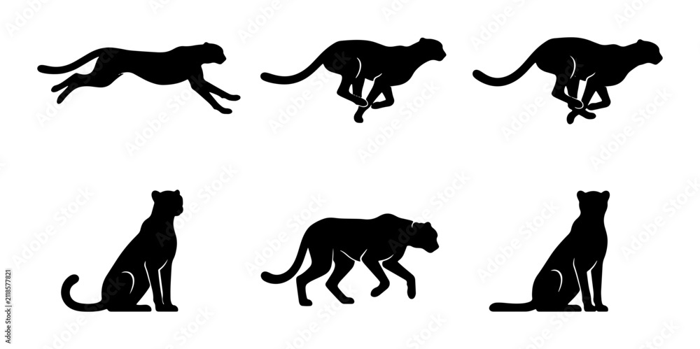 Fototapeta premium Cheetah Silhouette Set, Wild Cat Poses Vector Collection, Speed and Graceful Animal Graphics, Black and White Iconography