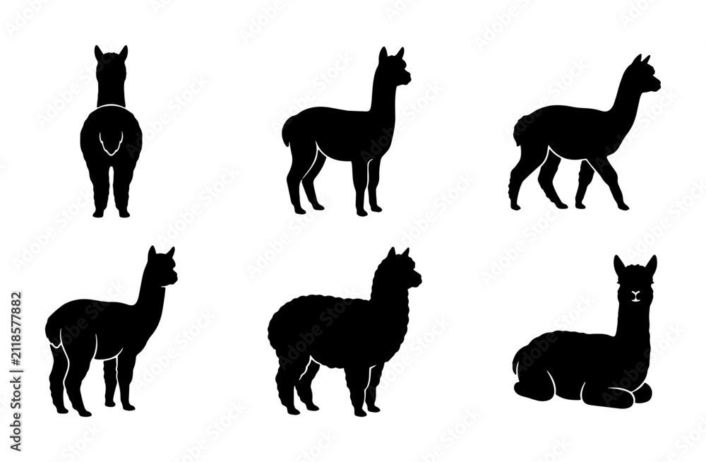 Obraz premium Alpaca Silhouette Collection, Six Vector Poses, Black Animal Icons for Design Projects, Farm Livestock Graphics