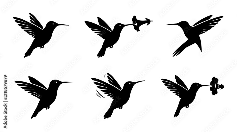 Fototapeta premium Hummingbird Silhouette Set: Six Dynamic Poses, Vector Graphics for Nature and Wildlife Design
