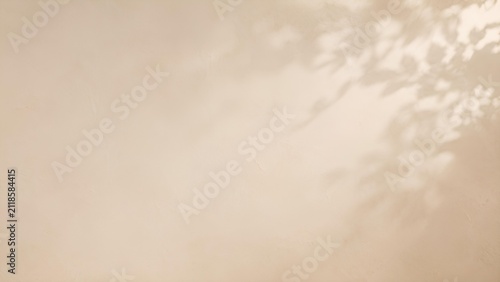 漆喰の壁に映る穏やかな午後の影 / Peaceful afternoon shadows reflected on a plaster wall (Generative AI)
