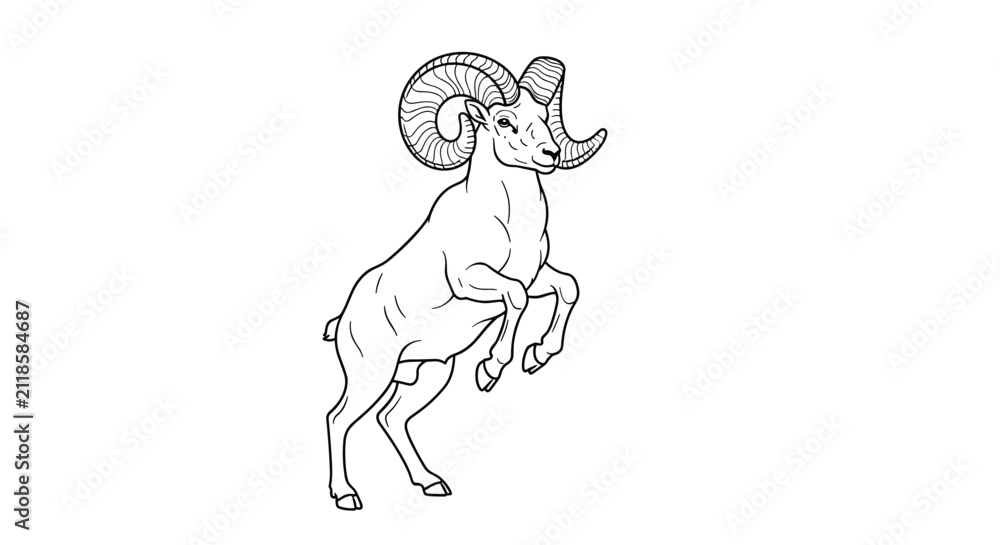 Obraz premium Detailed black and white line art illustration of a wild bighorn sheep ram standing alert on its hind legs with impressive curved horns.