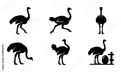 Konstfotografi Ostrich Silhouette Vector Icons, Six Diverse Poses, Black and White Avian Graphi