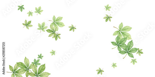 Adobe Illustrator Artwork