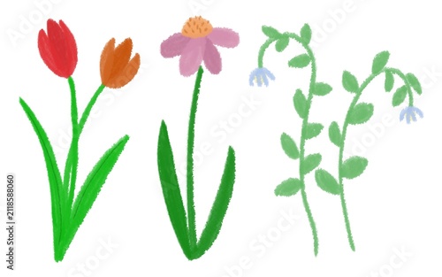 Hand drawn colorful wildflowers with crayon style texture, charming floral illustration for children, education, crafts, and creative projects.