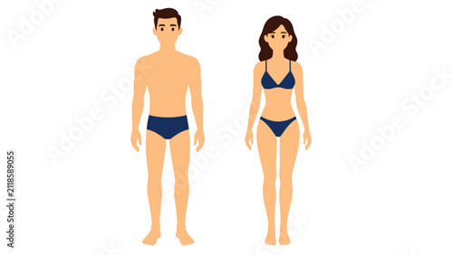 Front view of man and woman standing in underwear vector