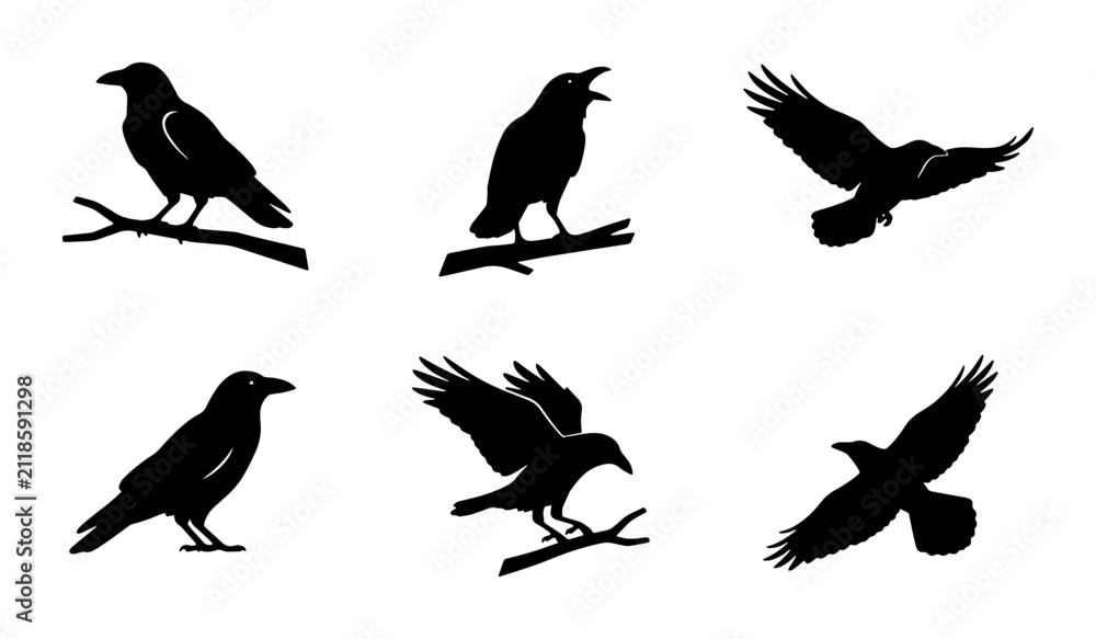 Fototapeta premium Raven Silhouettes Collection, Six Black Bird Icons, Flying and Perched Crow Vector Graphics, Gothic and Mystical Avian Elements