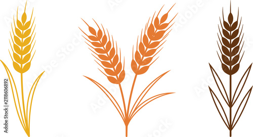 Konstfotografi Golden wheat ear ears spike spikes, agriculture cereal barley rye grain, organic