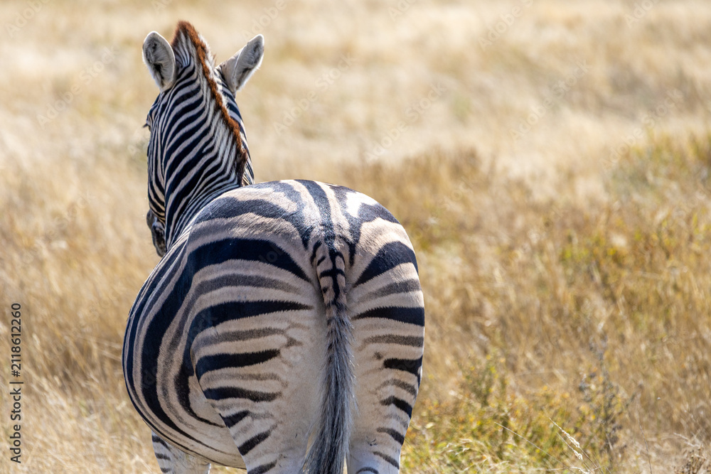 Obraz premium African wildlife gathering at a waterhole in Etosha National Park, Namibia. Elephants, zebras, giraffes and antelopes in their natural habitat under the African sky.