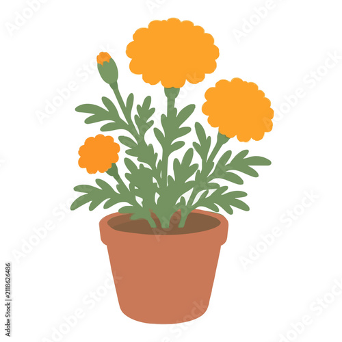 Hand-traced vector illustration of a vibrant orange marigold plant blooming in a classic terracotta garden pot, featuring lush green foliage and detailed layered petals.
