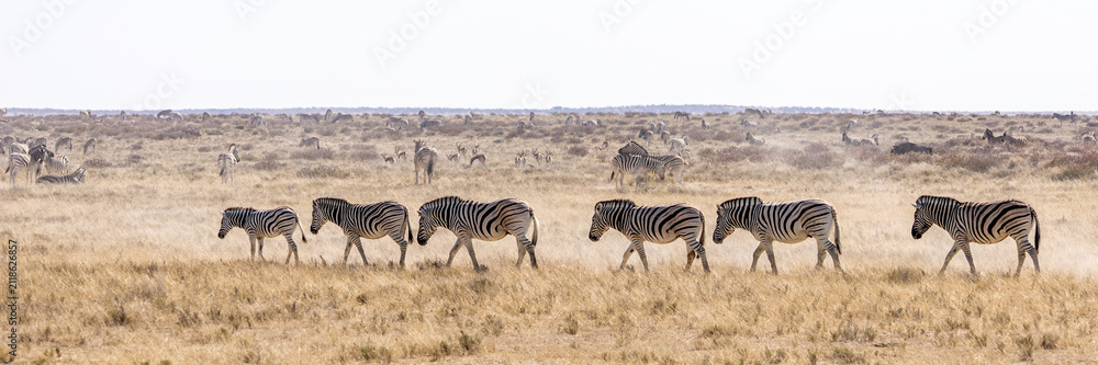 Obraz premium African wildlife gathering at a waterhole in Etosha National Park, Namibia. Elephants, zebras, giraffes and antelopes in their natural habitat under the African sky.