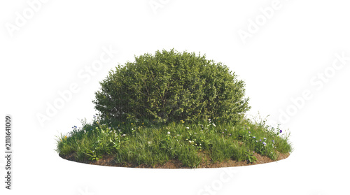 Принти на полотні A green bushy hillock mound with a bush isolated on a transparent png for landscape design compositing
