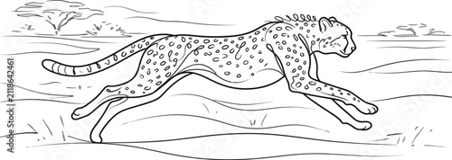 sketch of a wild animal