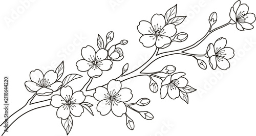branch of a blossoming tree