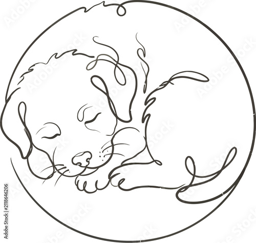 vector illustration of an elephant