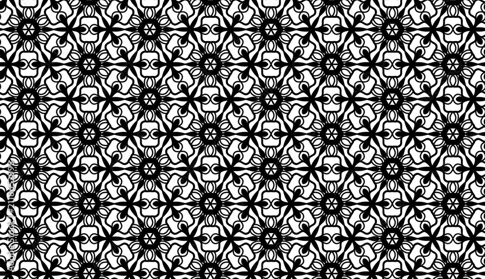Fototapeta premium Black and White Intricate Geometric Pattern