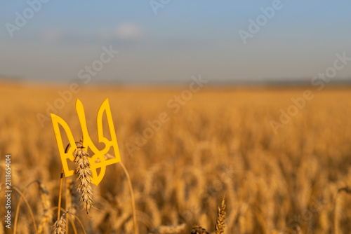 Konstfotografi yellow trident, a national symbol against a background of ripe golden ears of wheat in a field and a blue sky