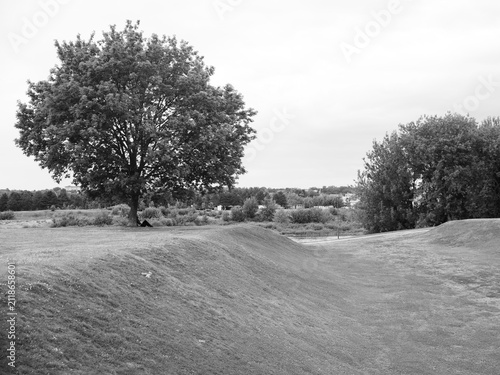 Canvastavla Black and White Landscape with Large Tree on Grassy Field and Natural Park Scene