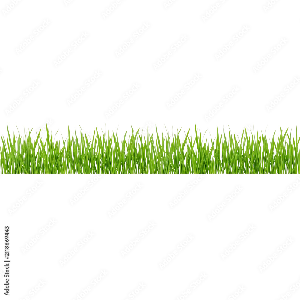 Fototapeta premium Vibrant green grass border, fresh spring lawn blades in a horizontal row, lush summer meadow turf for landscaping and garden design isolated PNG with Transparent Background