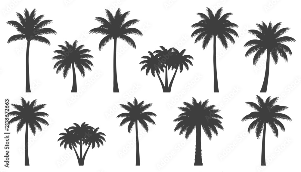 Naklejka premium Silhouette icons of eleven different tropical palm trees arranged in two neat rows isolated on a white background.
