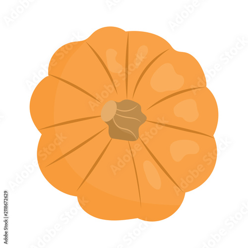 Orange pumpkin vector isolated on white background. Top down view of a single whole pumpkin with stem. Flat style autumn vegetable illustration for harvest, Thanksgiving and seasonal design.