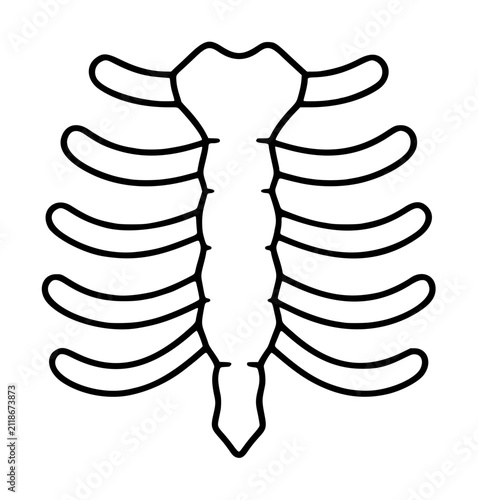 Quadro su tela Minimalist black outline vector icon illustration of human ribcage and sternum a