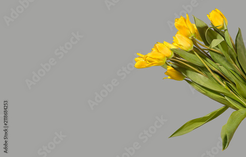 Canvas Print Large bouquet of yellow tulip flowers arranged diagonally with green stems and leaves on grey background with copy space