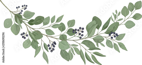 Elegant hand drawn gray eucalyptus branch illustration with berries and leaves for wedding stationery design and botanical decoration elements