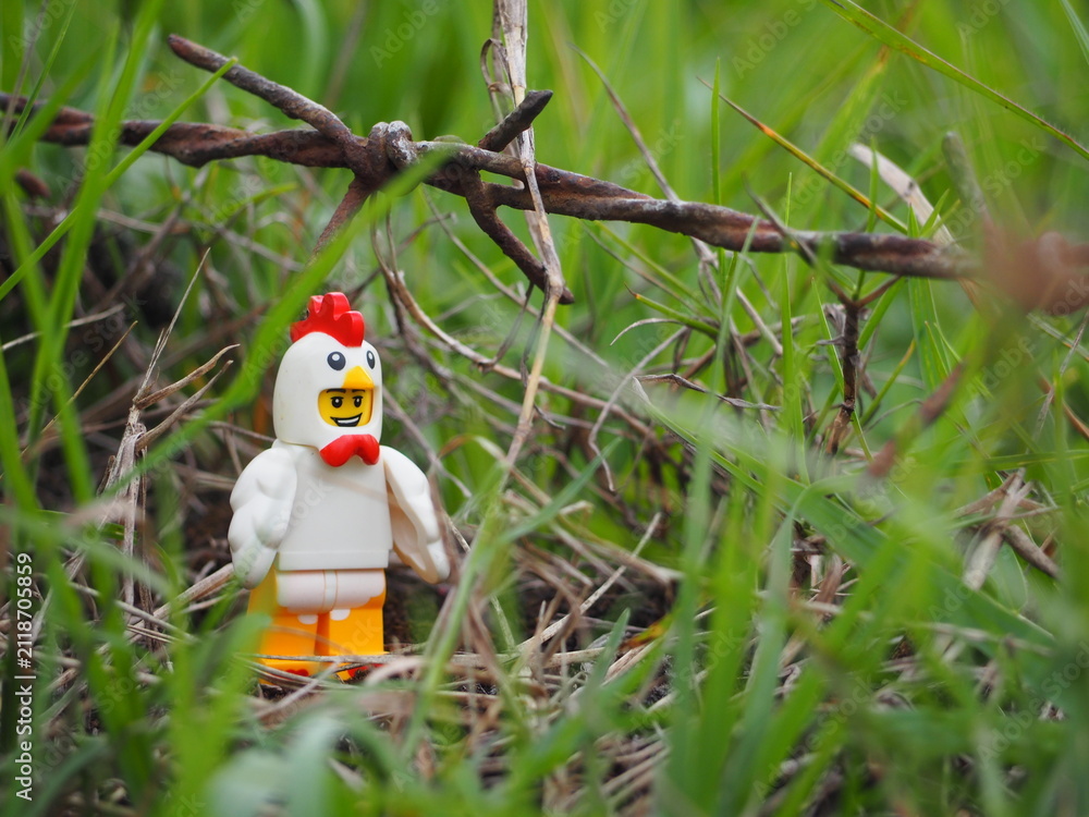 Fototapeta premium Indonesia - November 27, 2019 : Mini toy of action figure at grassland with blurred background. Toy photography concept. Chicken at outdoor with green grass conceptual design.