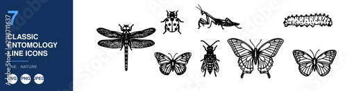 Classic Entomology Line Icons, a Detailed Set Featuring Dragonfly, Butterfly, Beetle, and Moth Illustrations. Vintage Style Insect Drawings for
