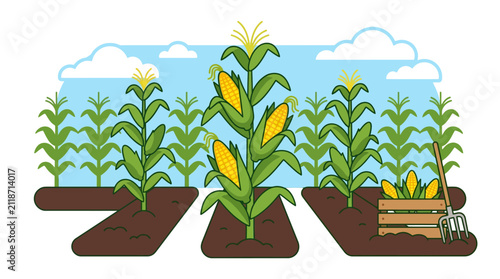 illustration of a vibrant agricultural scene showing corn fields with a central mature corn plant and farming tools on a sunny day