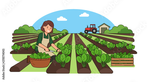 Farmer harvesting fresh leafy greens in a vibrant agricultural field with tractor and barn in the background