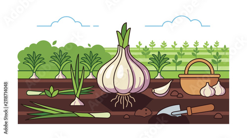 Vibrant garden bed showcasing freshly harvested garlic bulbs and green foliage in a farm setting