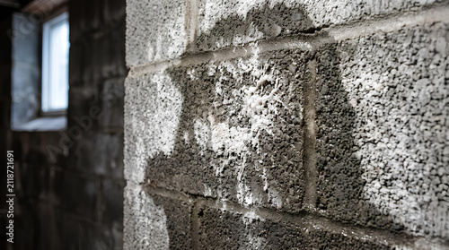 White Efflorescence and Damp Staining on Concrete Block Basement Wall