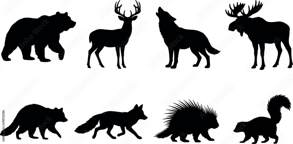 Obraz premium Set of forest wild animal black silhouettes featuring bear deer wolf moose raccoon fox porcupine skunk isolated on white background
