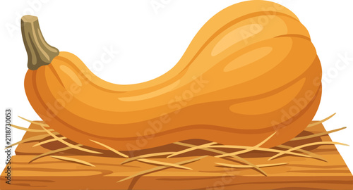 Bild auf Leinwand Butternut squash on a wooden board with hay