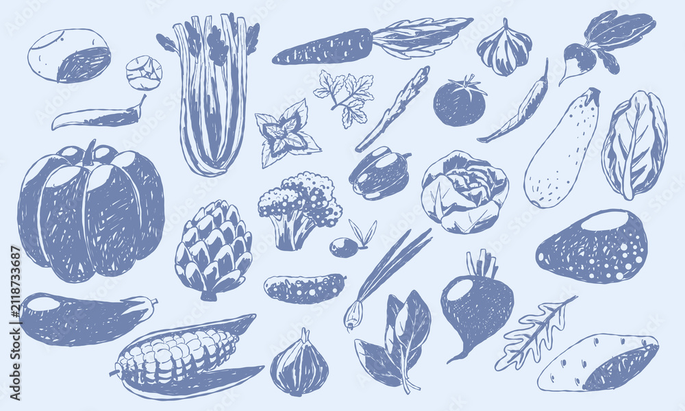 Obraz premium Hand drawn illustration set of whole fresh vegetables, roots and green herbs including pumpkin, corn, celery, broccoli, avocado, beetroot, artichoke and cabbage. Flat contour artwork, perfect