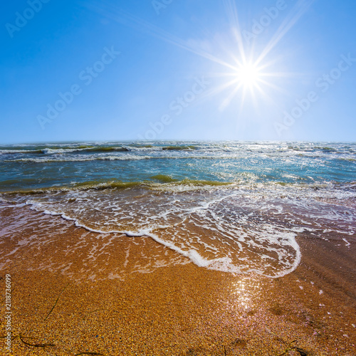 summer sandy sea beach under a blue cloudy sky at the sunny day