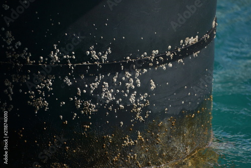 Numerous barnacles on black, cylindrical pier support over Caribbean waters