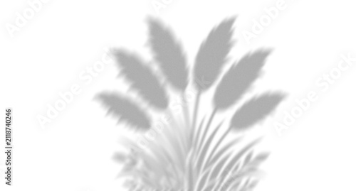 Minimalist grey illustration of a wheat stalk bundle for organic food and natural harvest concept design