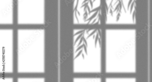 Natural window light shadow with tree leaves overlay on a textured grey wall surface for interior design background