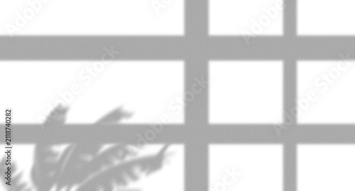 Abstract shadow of tropical palm leaves cast on a modern window grid frame pattern