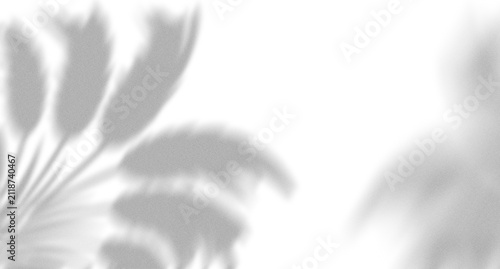 Soft shadow of tropical palm leaves cast on a surface creating a peaceful and natural aesthetic for design projects
