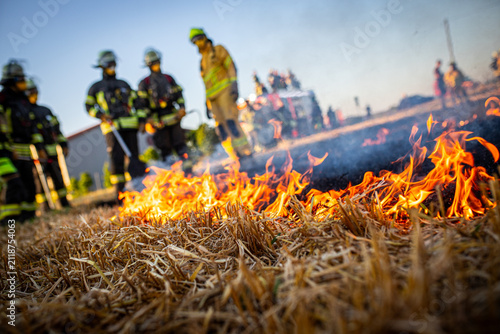 Quadro su tela Feuerwehr übt einen Feldbrand bei Gerlingen