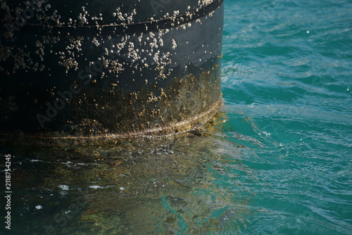 Numerous barnacles on black, cylindrical pier support over Caribbean waters