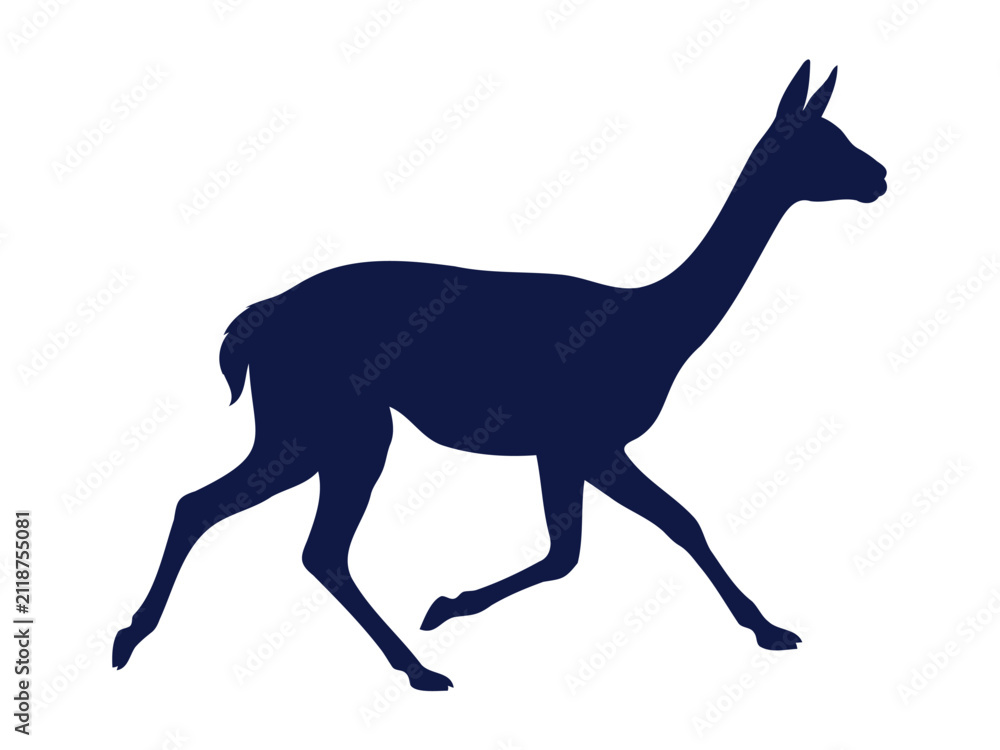 Obraz premium Llama standing in profile silhouette for mountain wildlife themes