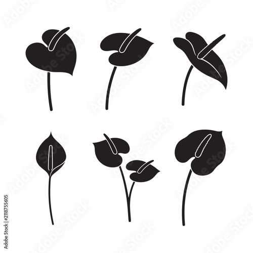 Black silhouette of anthurium flower with leaf isolated on white background