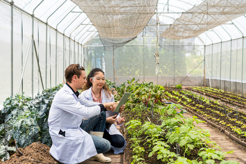 Agricultural scientists inspecting crops with a tablet in a greenhouse.