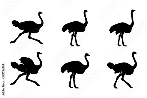 Canvas Print Ostrich Silhouettes Collection, Six Vector Poses of Large Flightless Birds, Blac
